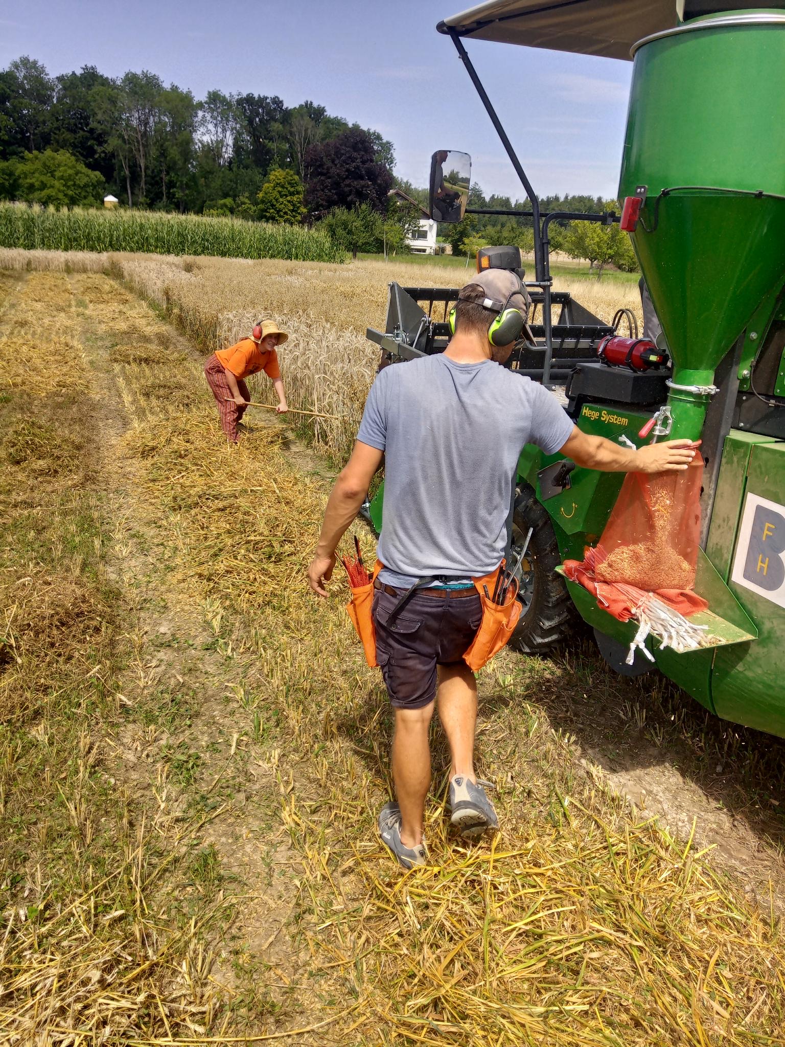 Ein Mähdrescher auf einem Feld, davor eine Person mit einer Sense.