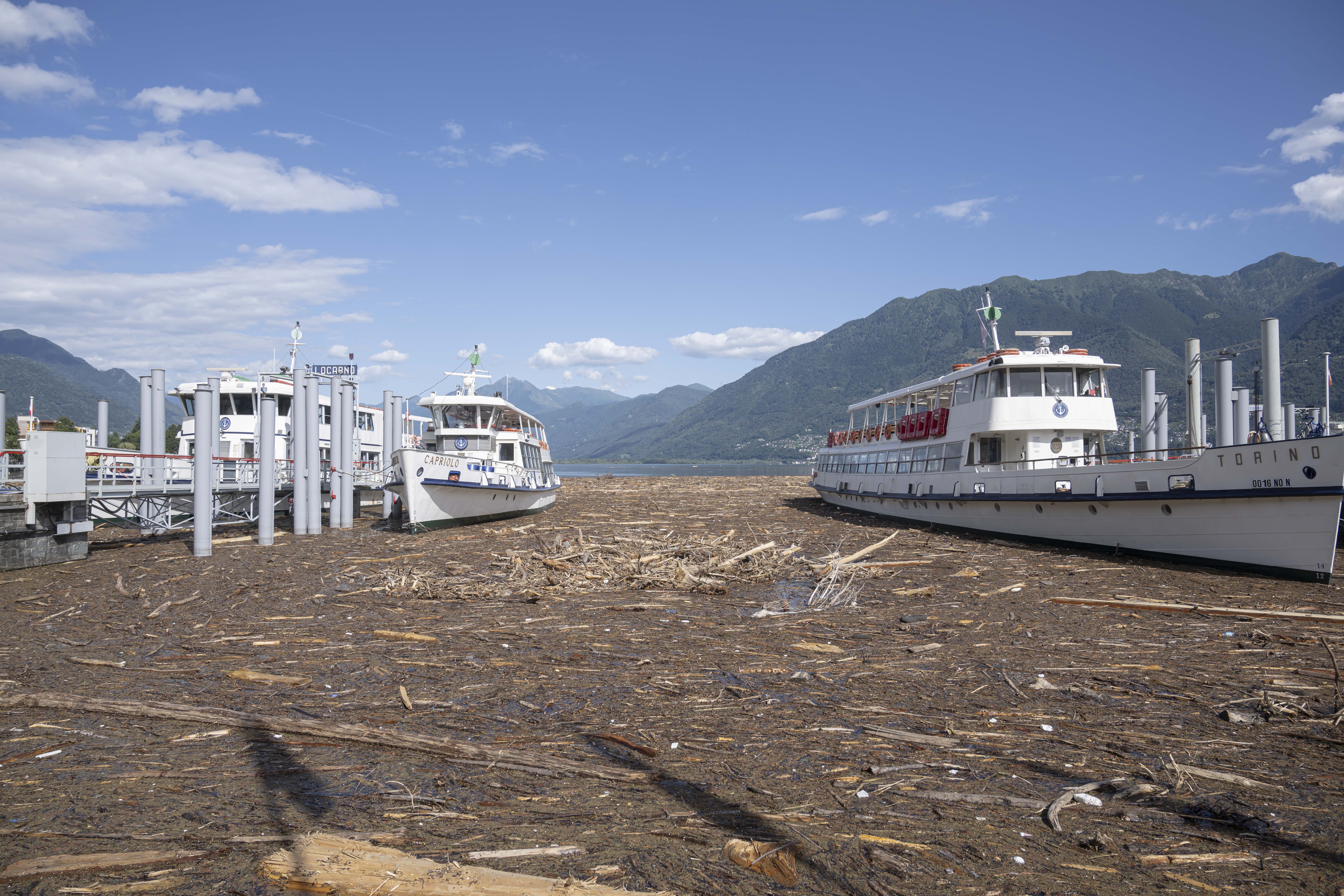 battello e legname che galleggia sul lago