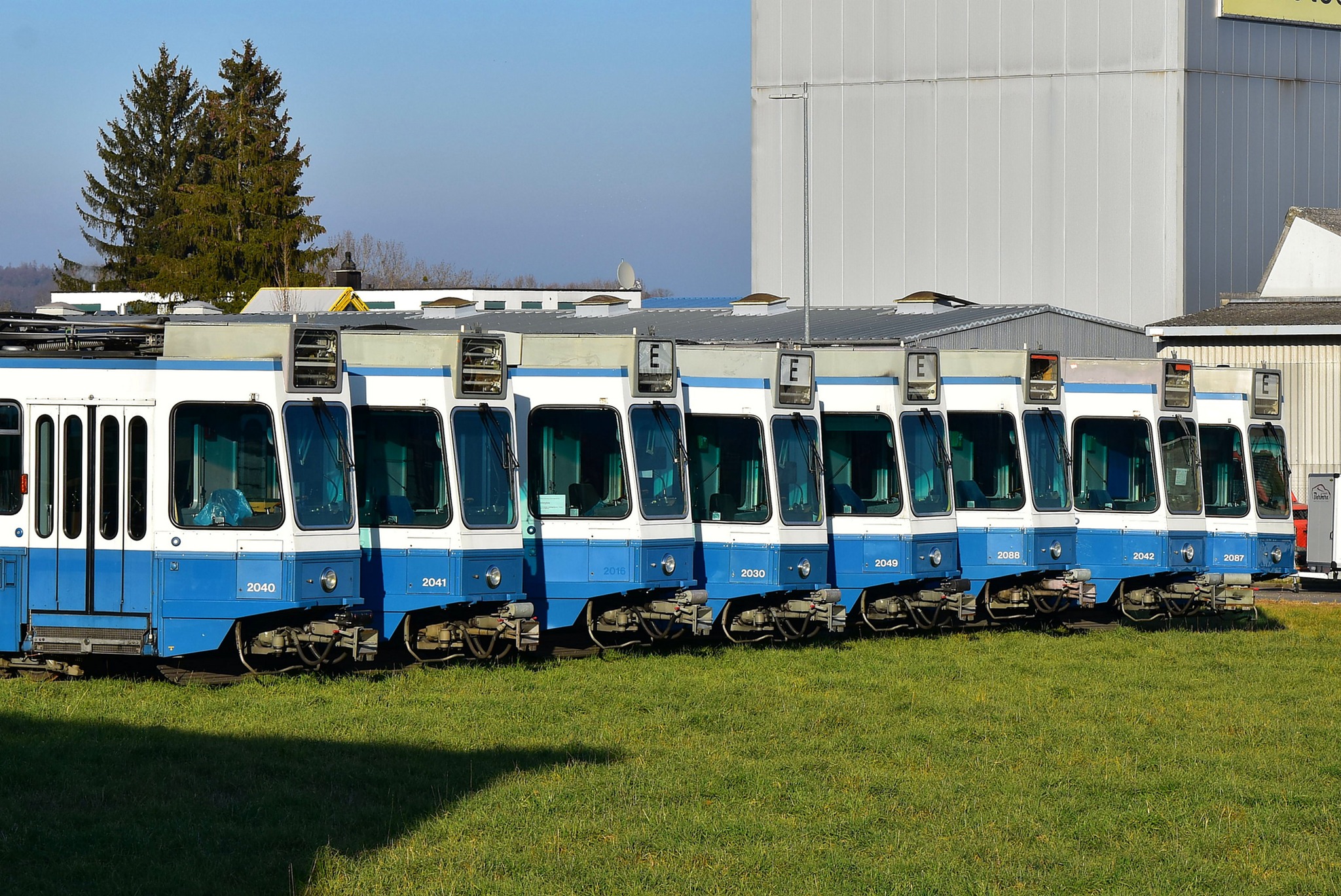 Mehrere blaue Trams
