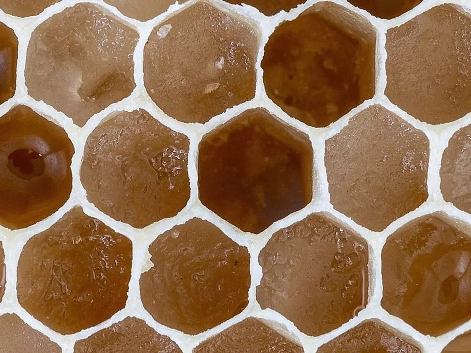 hexagon hive