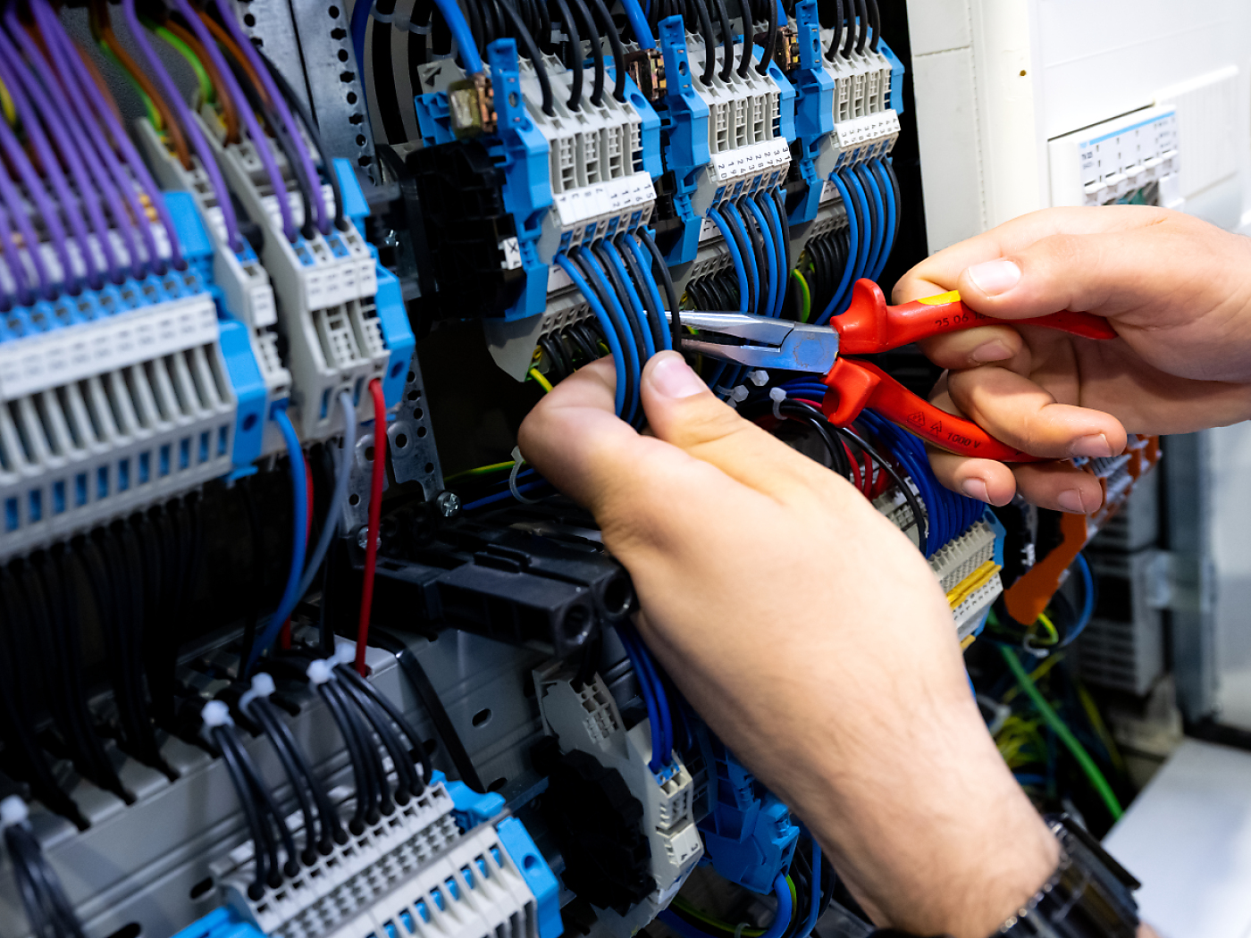 Fight against skills shortage is insufficient according to financial control