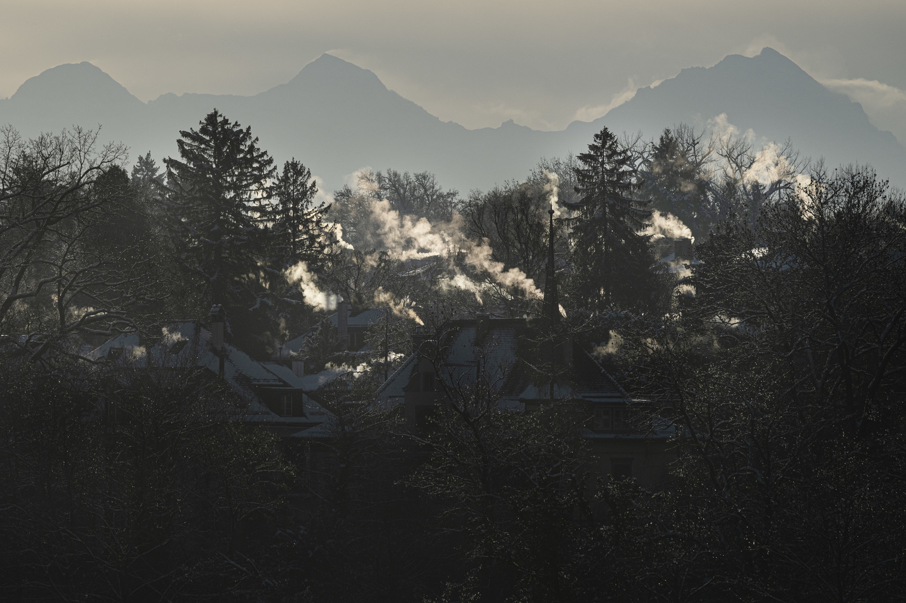 Rauchsäulen von Kaminen im morgendlichen Gegenlicht