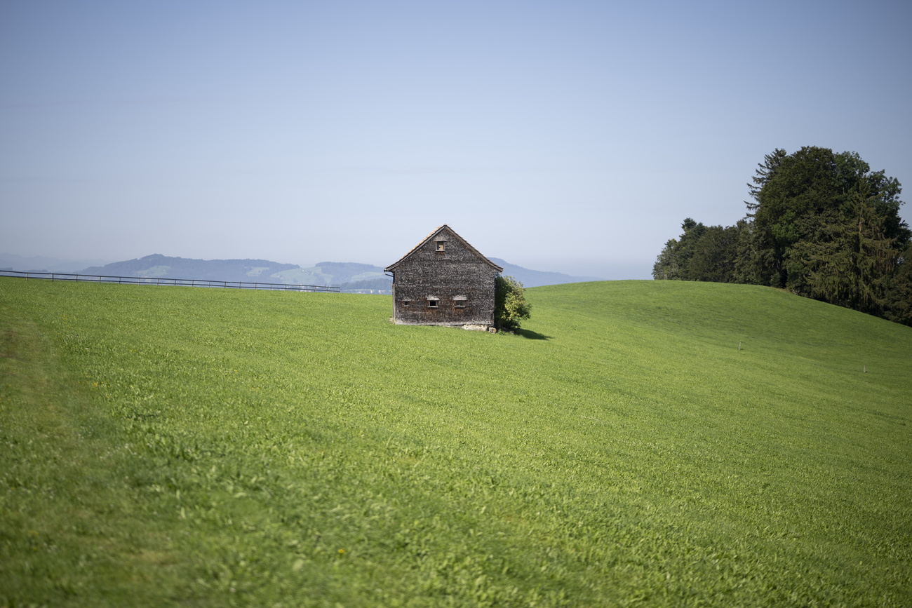 A rolling meadow in St. Gallen, Switzerland