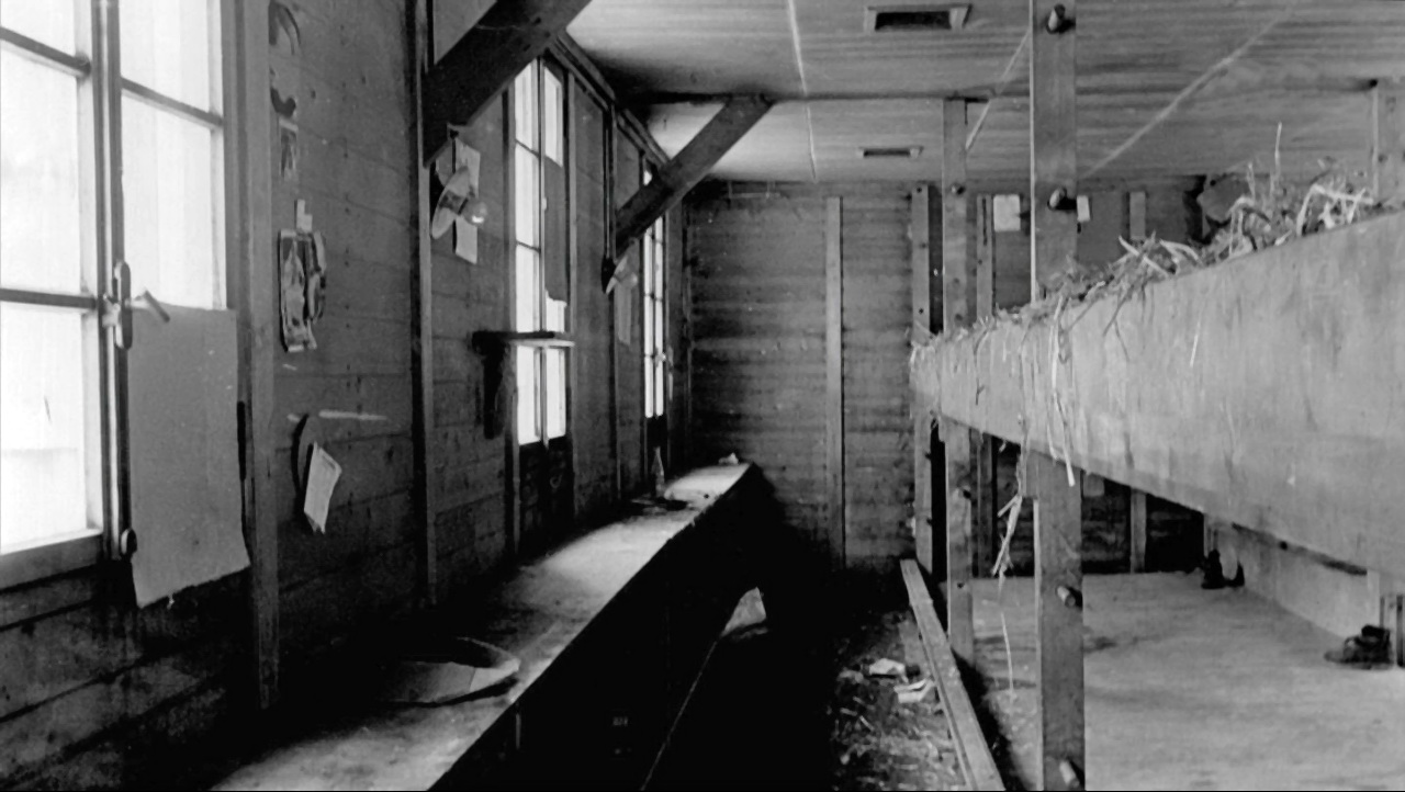 Interior view of one of the internment barracks, Egolzwil-Wauwil, Canton Lucerne. 1940s.