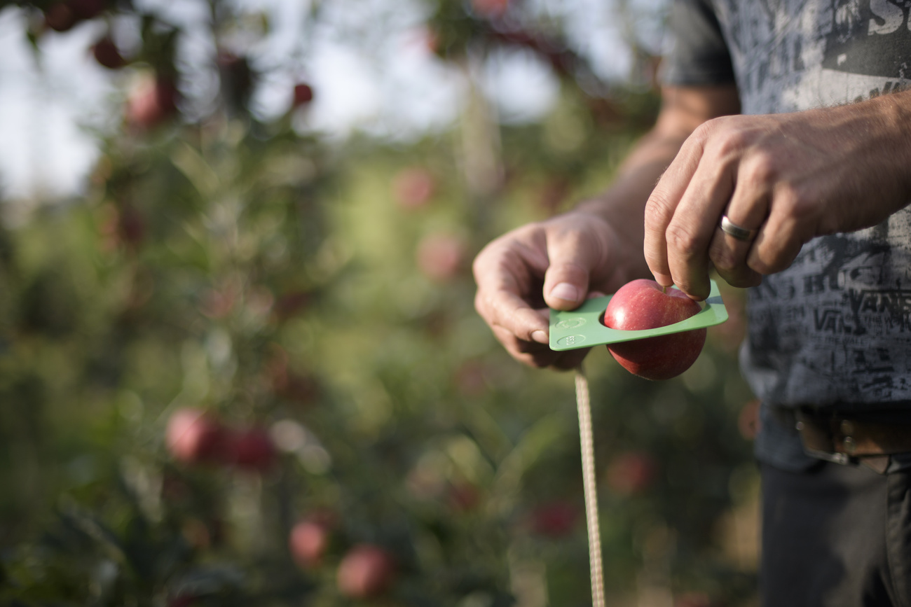 Cosmetic pesticides are making it to your apple. Is that a bad thing?