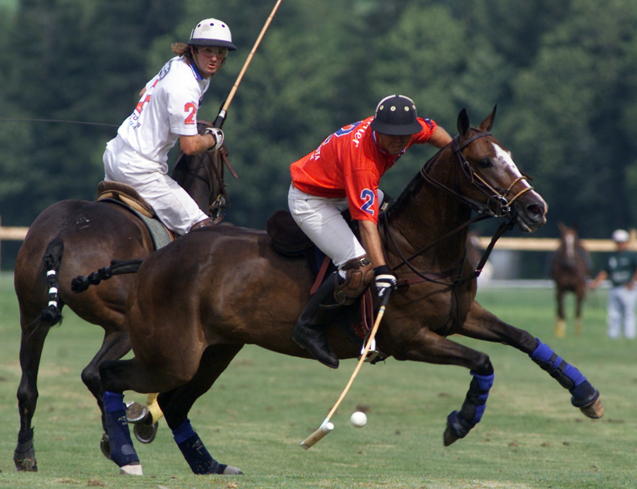 In 2005, the Piaget watch brand asked Eichmann to form a polo team to promote their new Polo model.