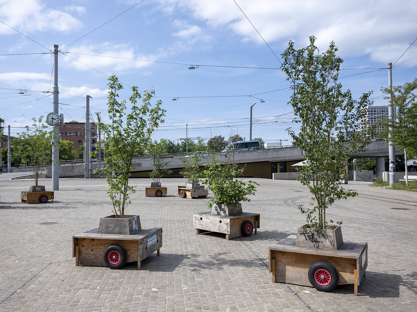 Swiss cities are home to 1300 different tree species