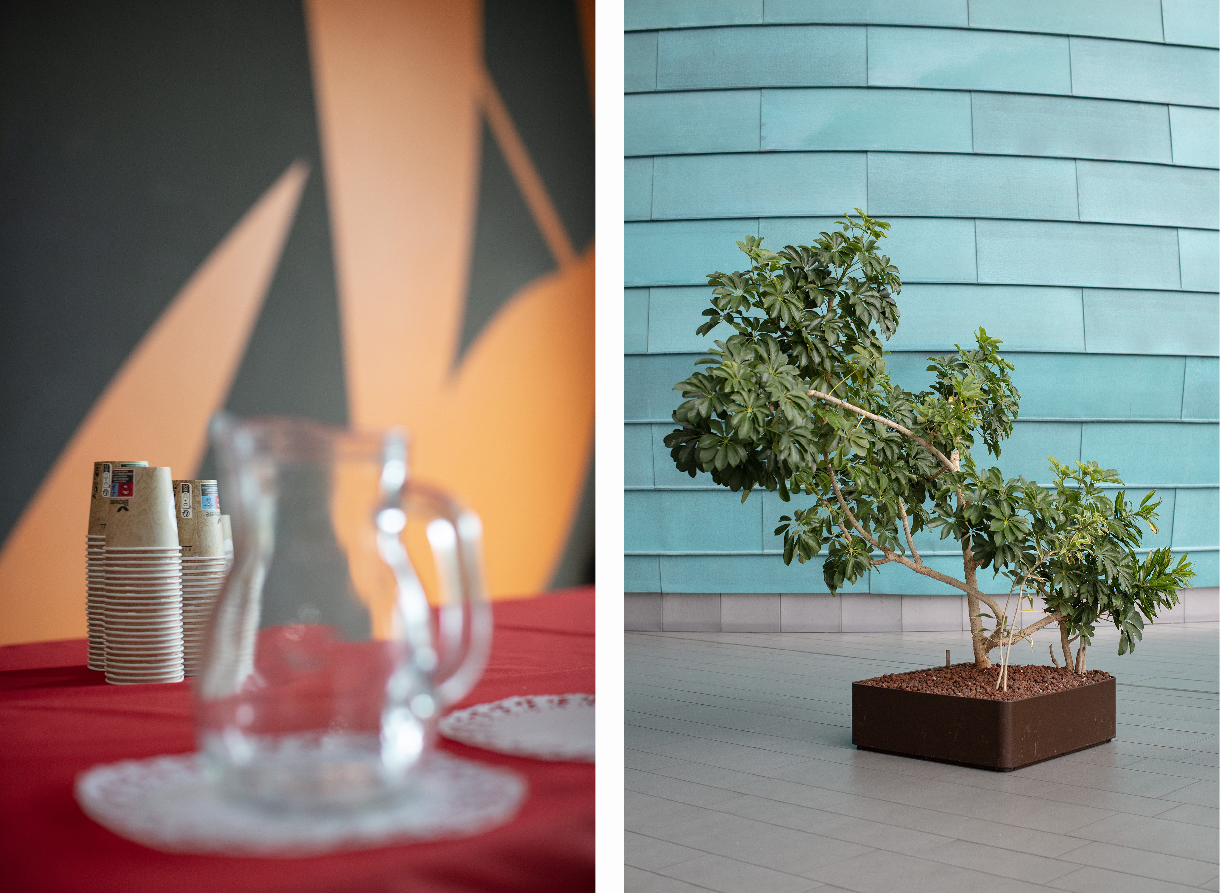 Details of the exterior of the room where the Committee on AI met.