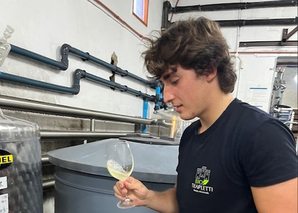 The wine that unites: from Ticino to South Africa