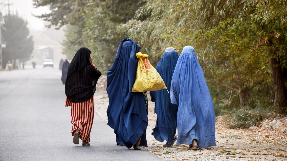 Women and Girls in Afghanistan at Center of UN Human Rights Investigation