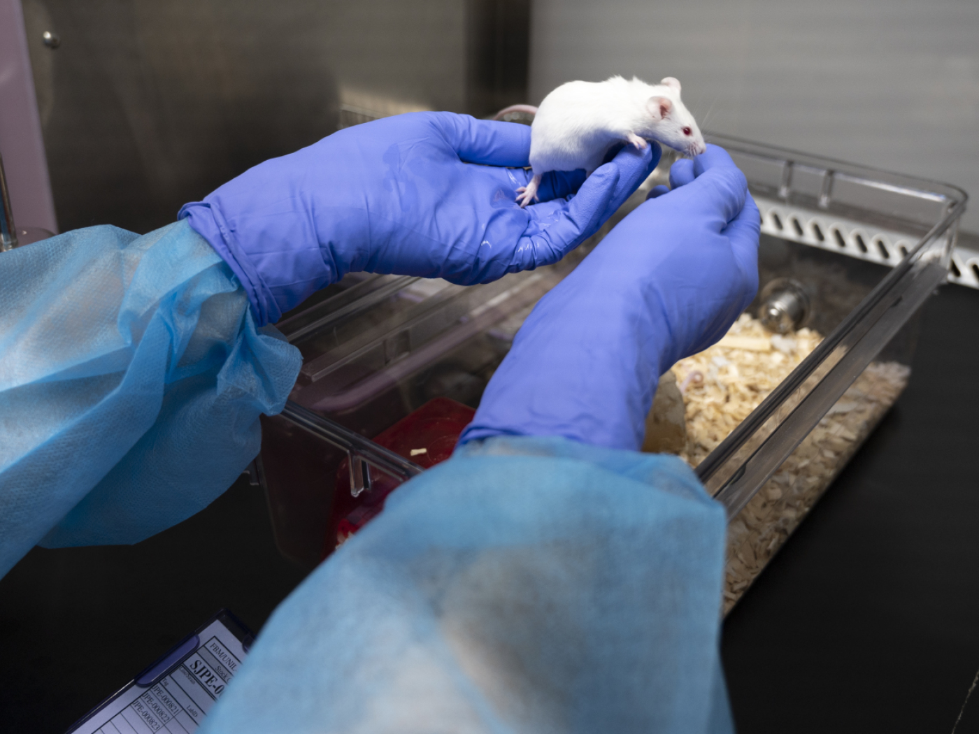 Givaudan invests CHF50 million in Indonesia - SWI swissinfo.ch
