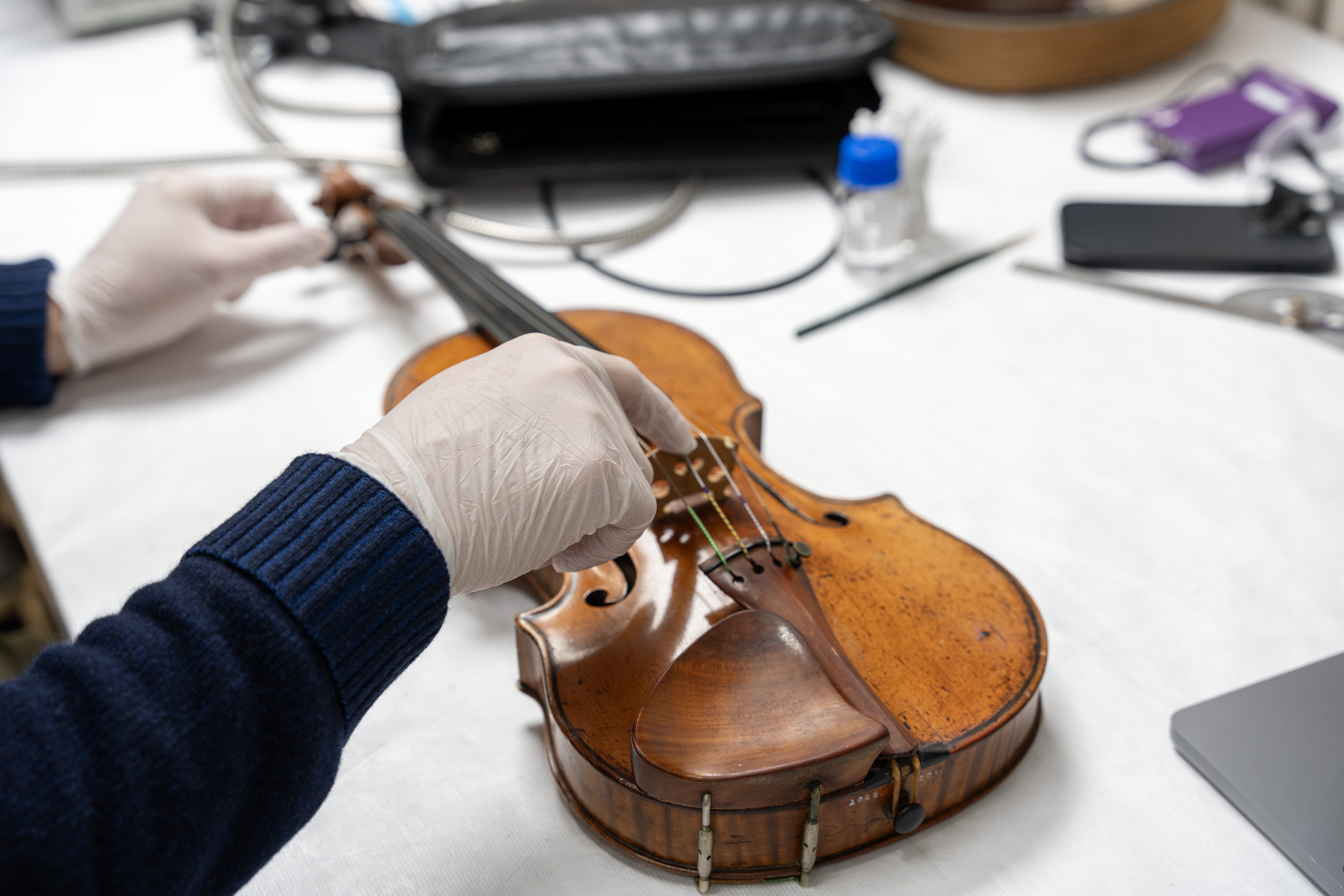Violino