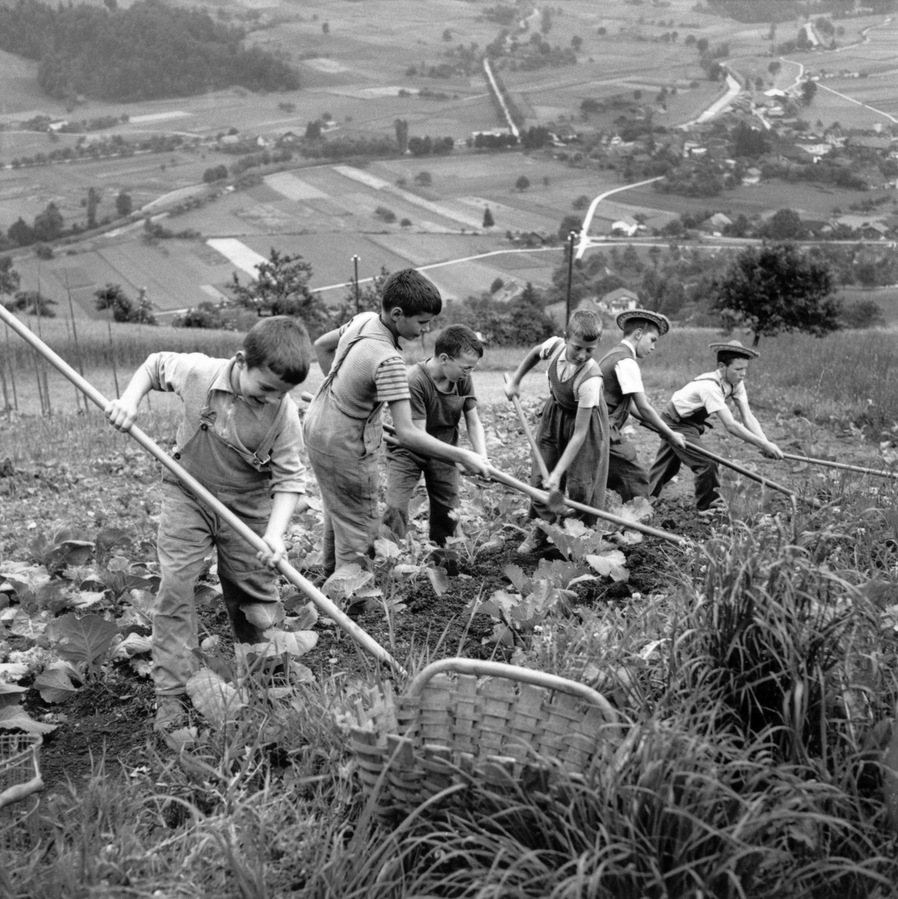 children working in a field