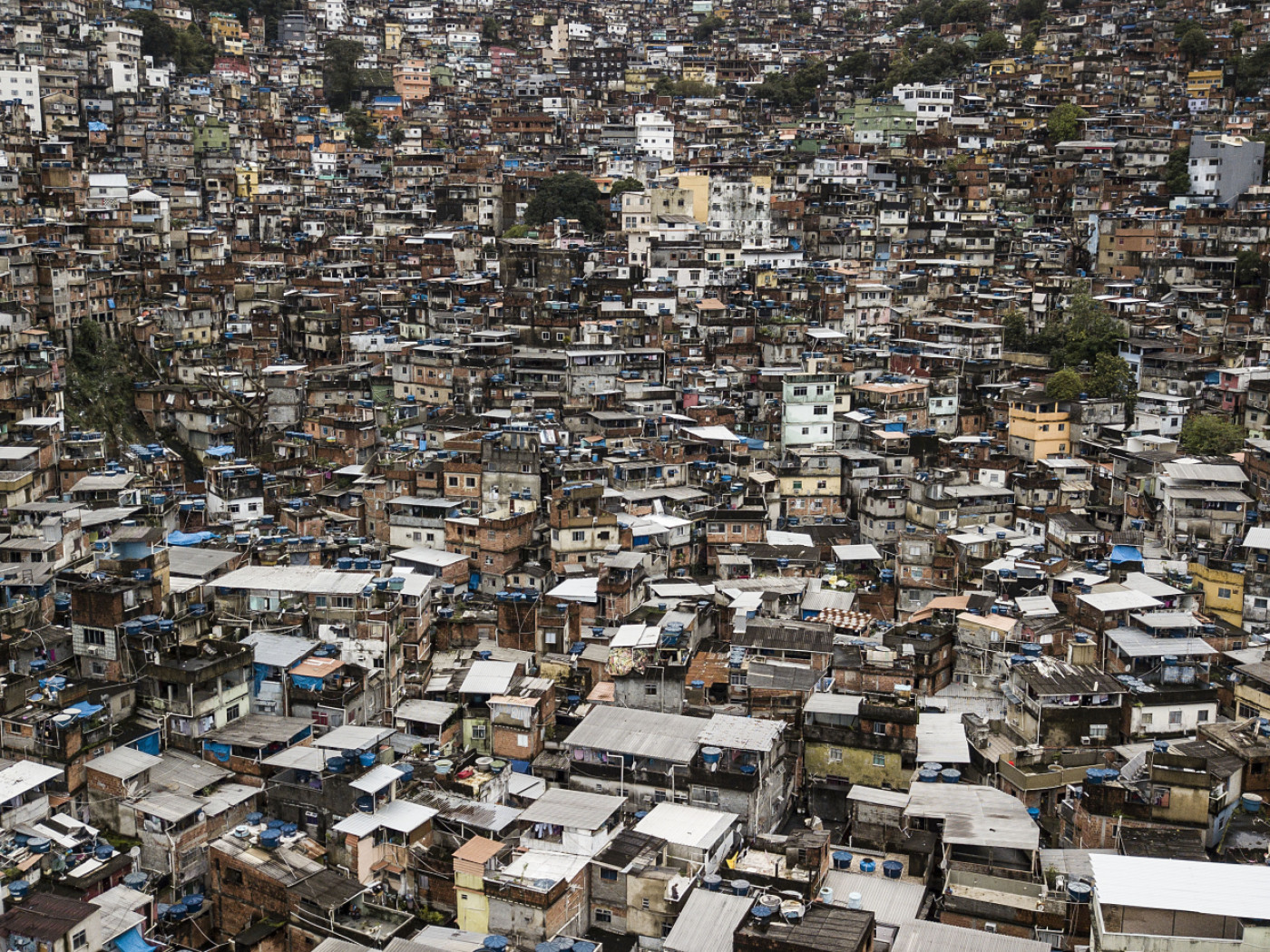 Favelas Rats In 12 anni raddoppiato il numero di favelas in Brasile - SWI swissinfo.ch