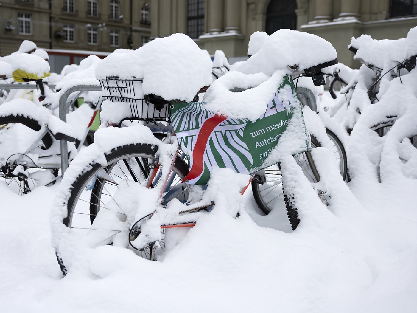 Neve, novembre 2024