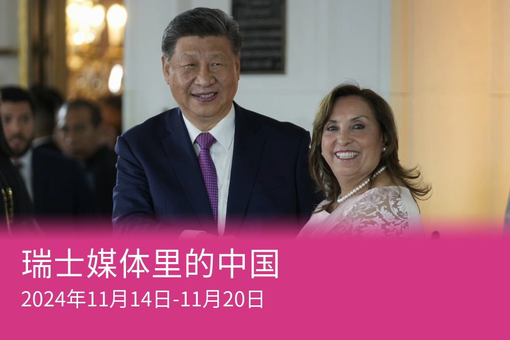 2024年11月14日,秘鲁总统迪娜·博卢阿尔特与中国国家主席习近平在钱凯镇中资港口落成典礼后握手。