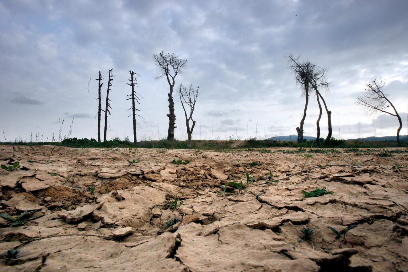Sobre todo el sur de España sufría las consecuencias de la desertificación.