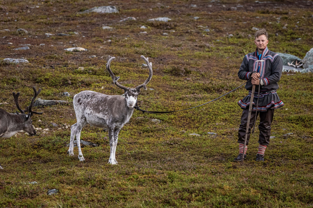 A reindeer herder in traditional costume on the road from Alta to Hammerfest, Norway, August 18, 2023.