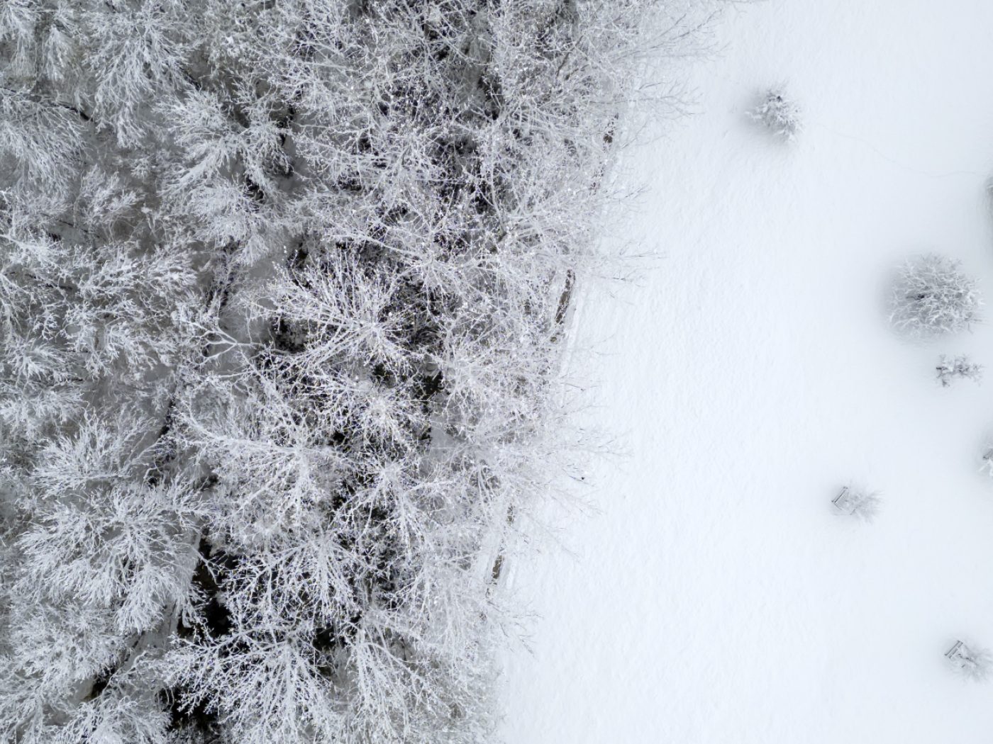 Alpine resorts covered in white gold for Christmas