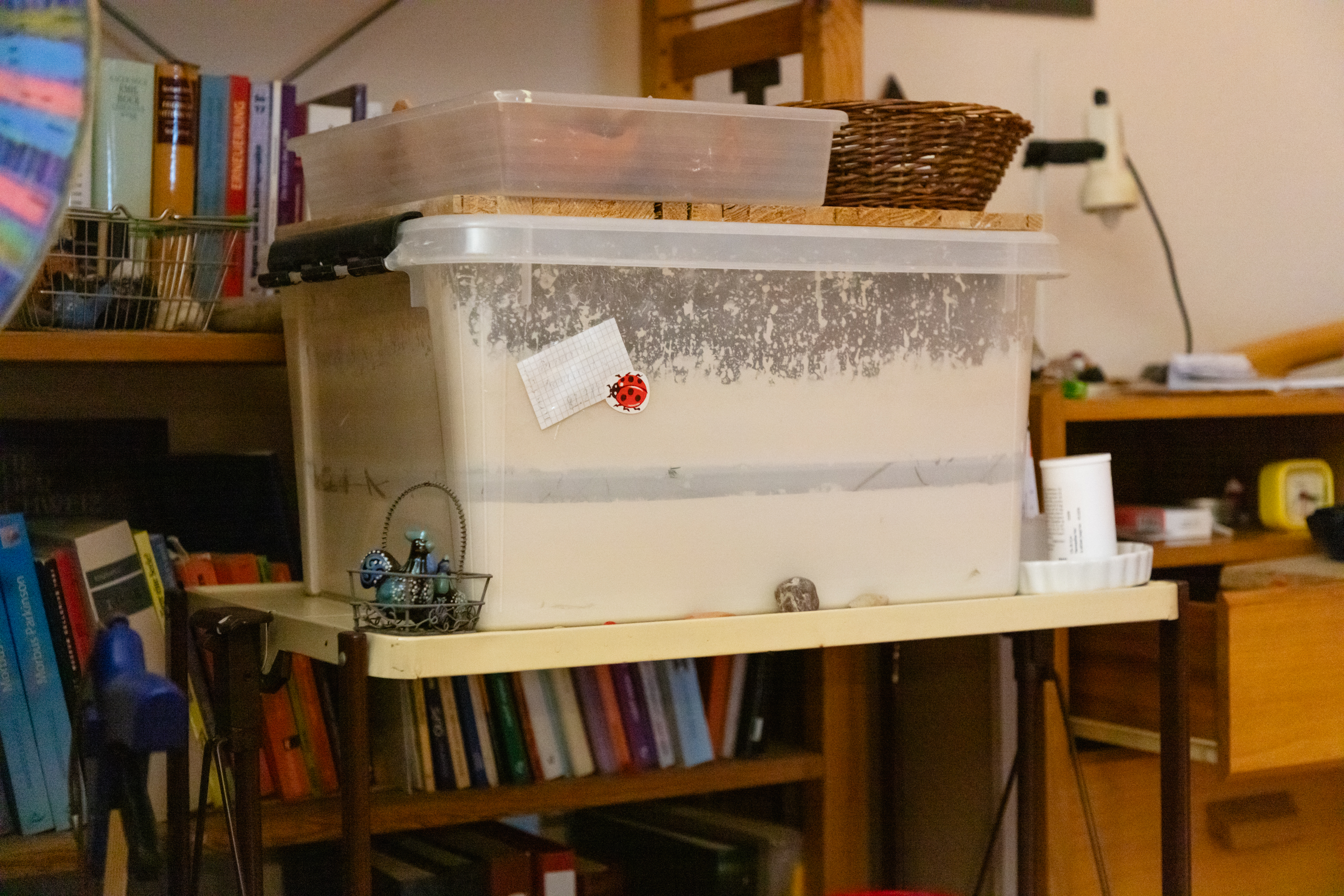 Material para trabalhar com argila