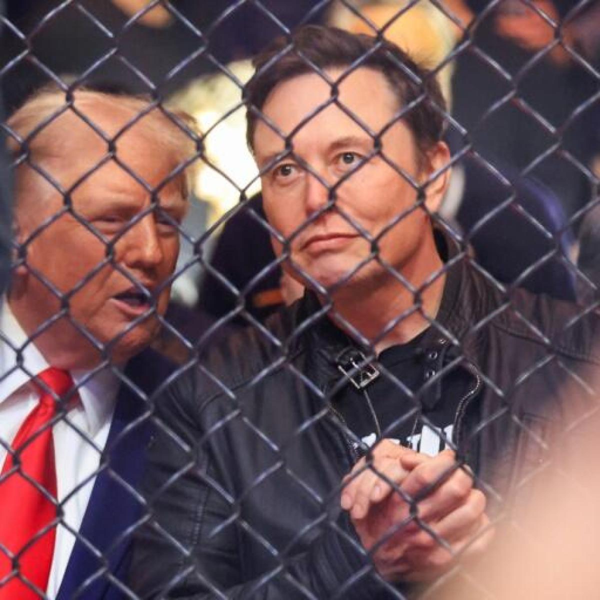 马斯克慷慨解囊助川普胜选成美国最大手笔政治捐款人- SWI swissinfo.ch