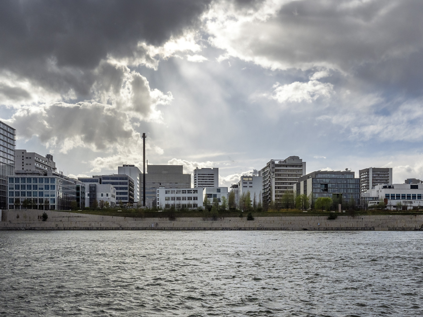 Novartis closes German Morphosys