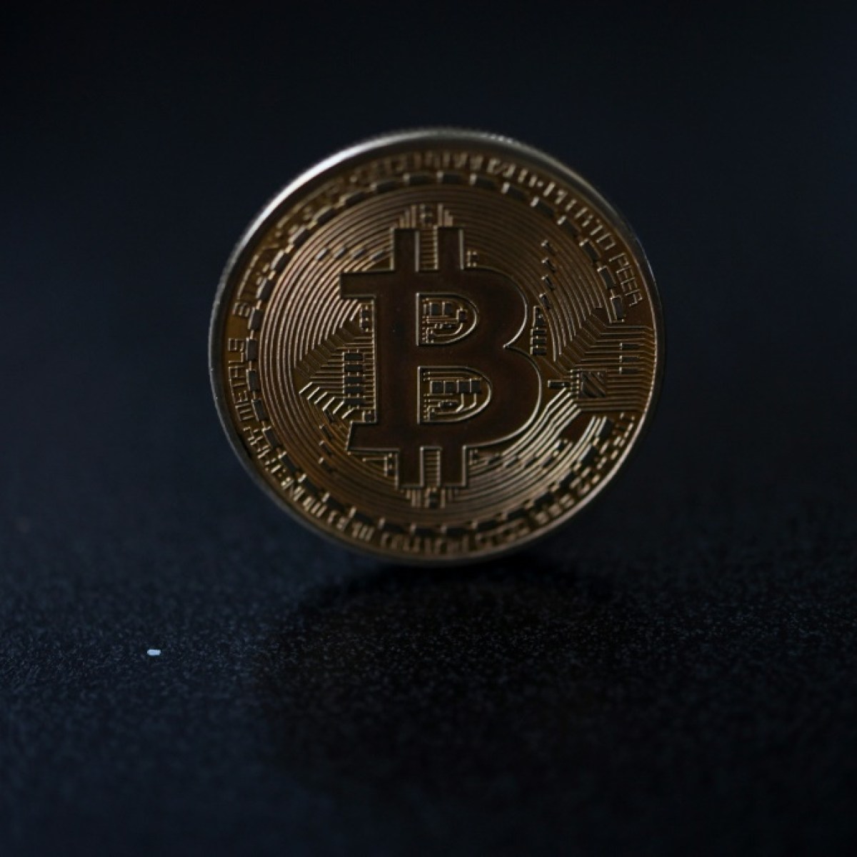 Bitcoin supera cotação de 100.000 dólares estimulado por Trump - SWI  swissinfo.ch