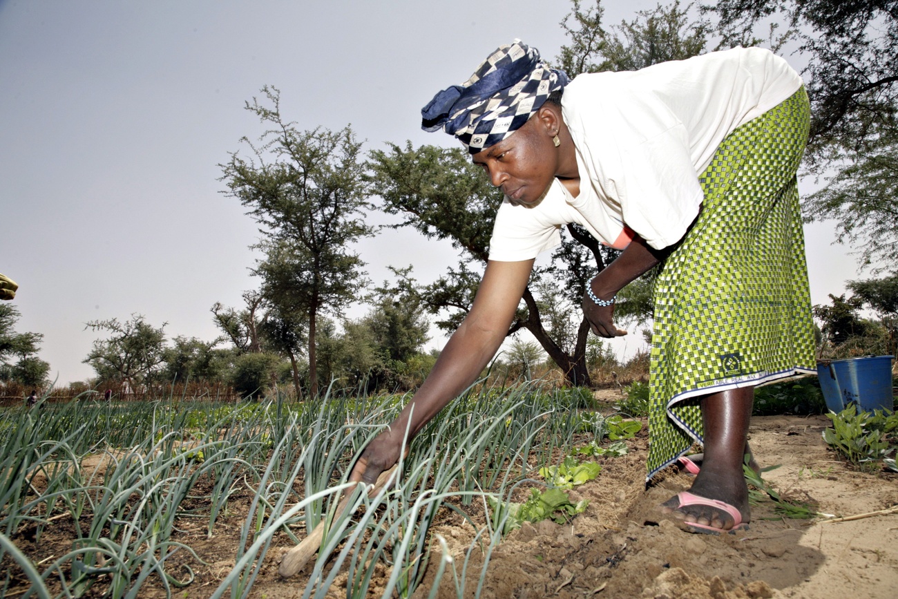 Swiss state coffers fund NGO projects in different countries.