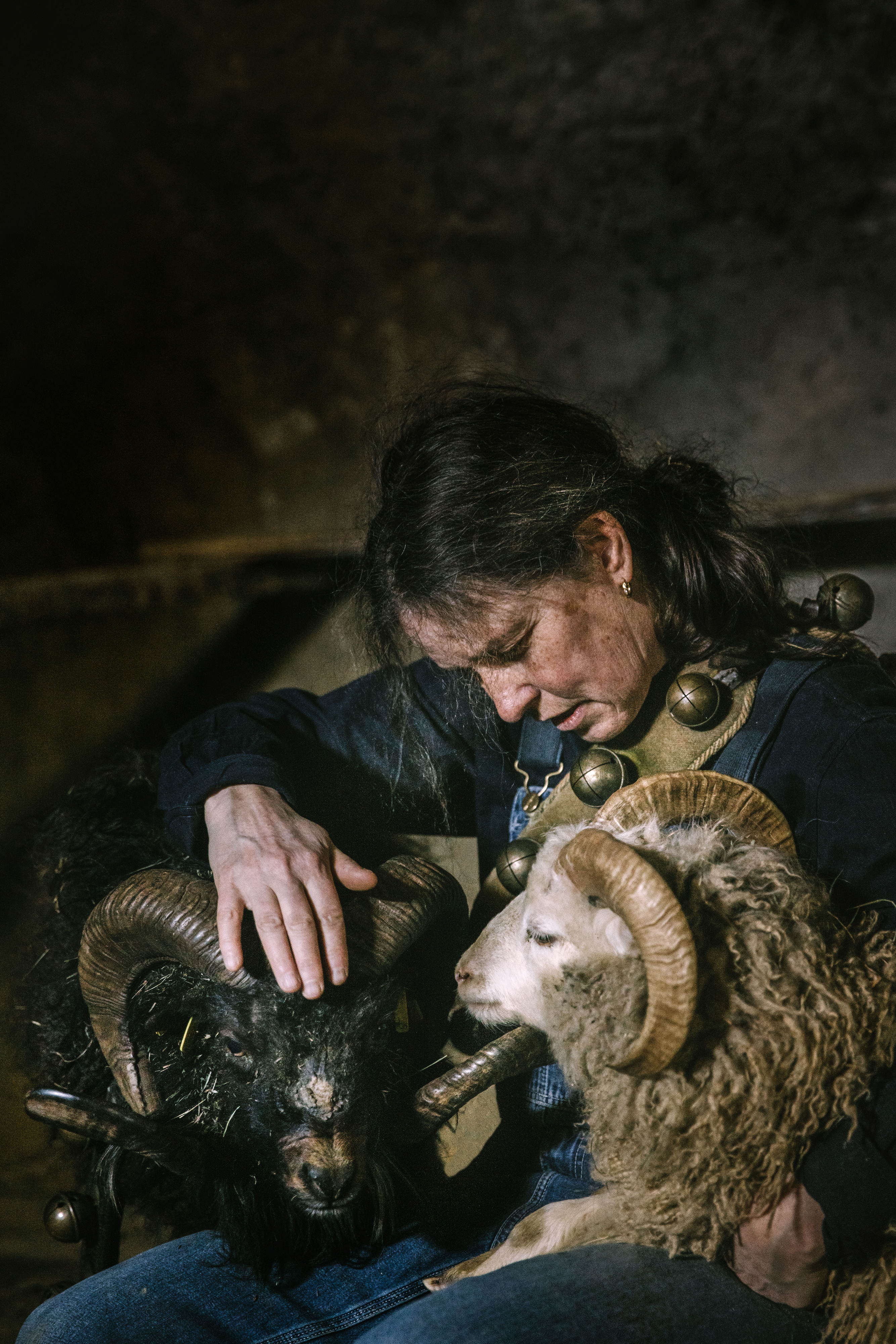 Sandra knecht con due montoni