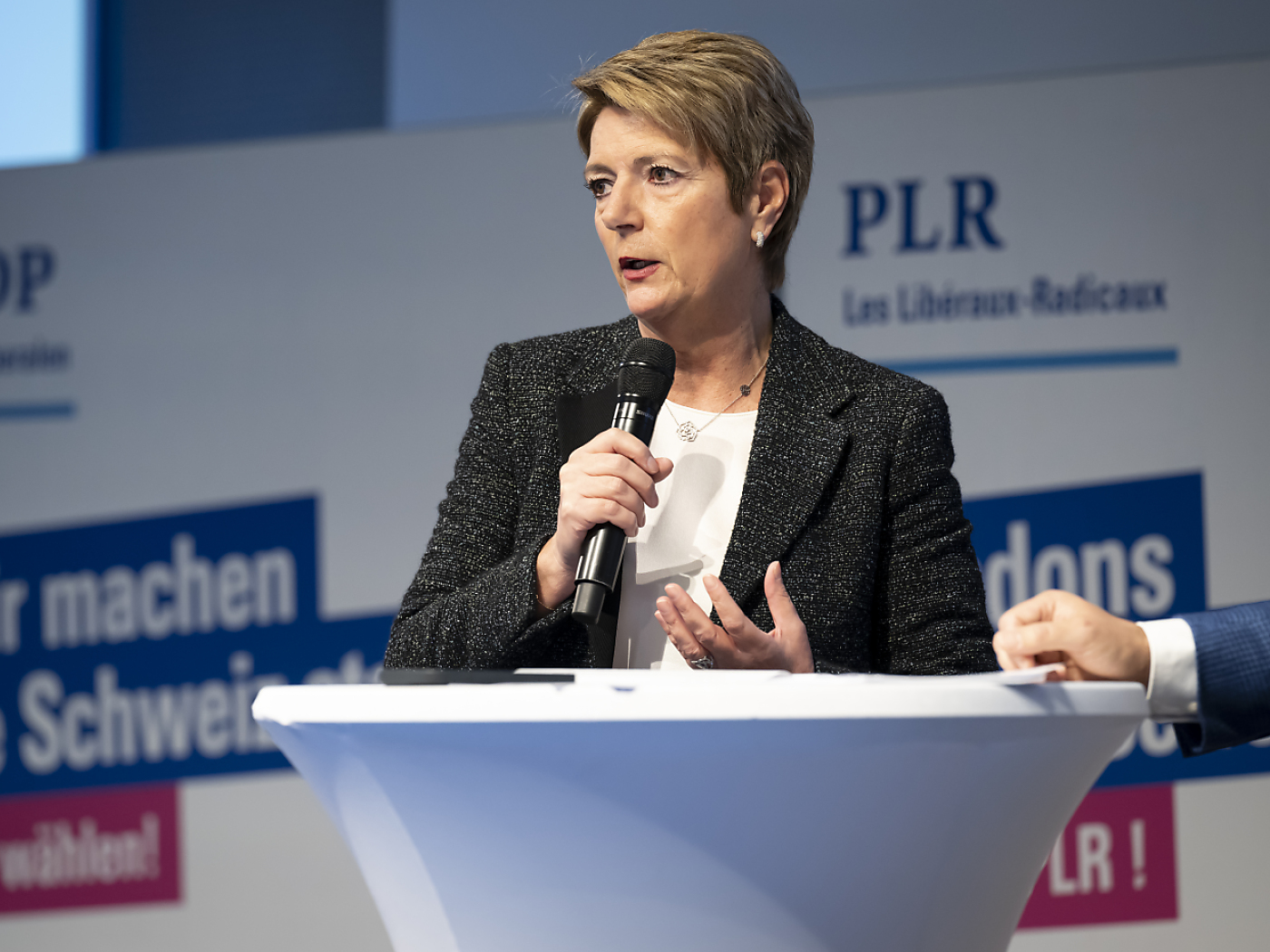 Соседние страны не являются моделями для Келлера-Саттера, когда дело касается налогово-бюджетной политики.