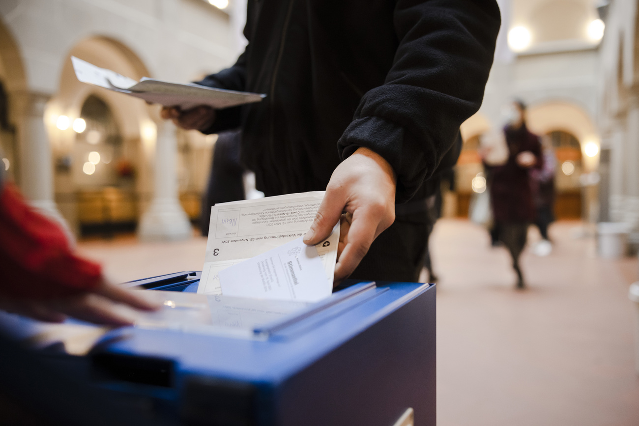 persona infila schede elettorali nell'urna