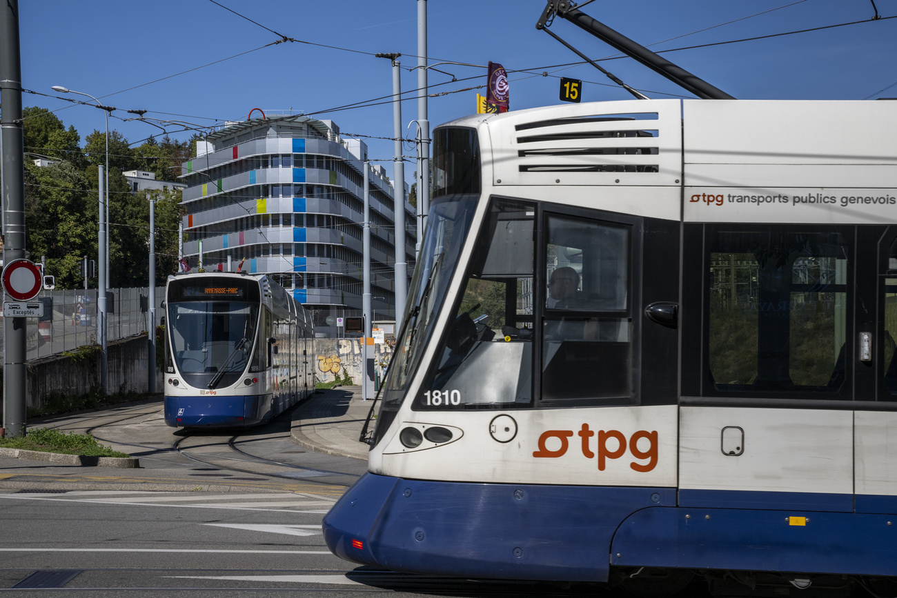 Zwei blau-weisse Trams