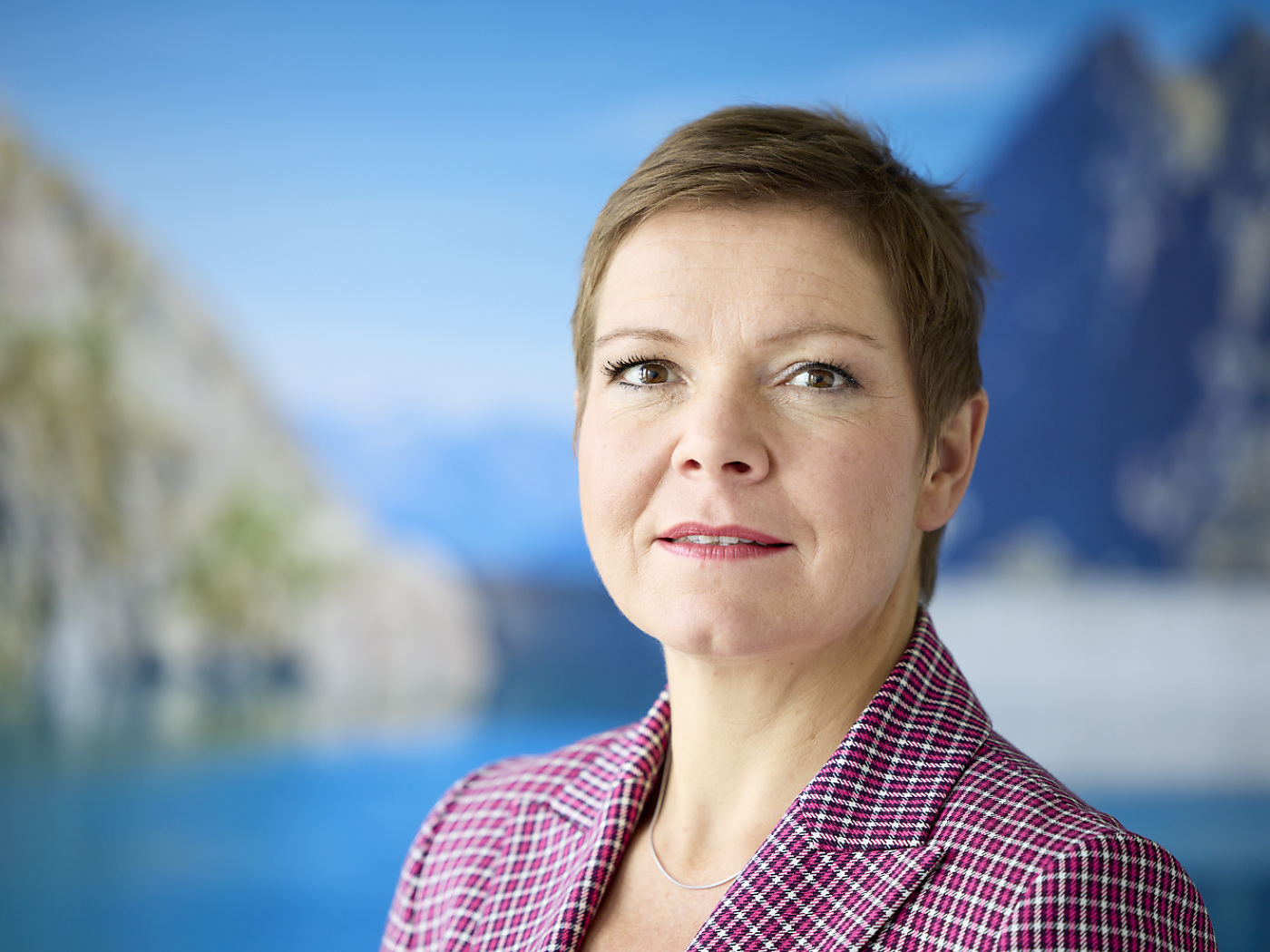 Alpiq CEO sees security of supply at risk without EU treaty