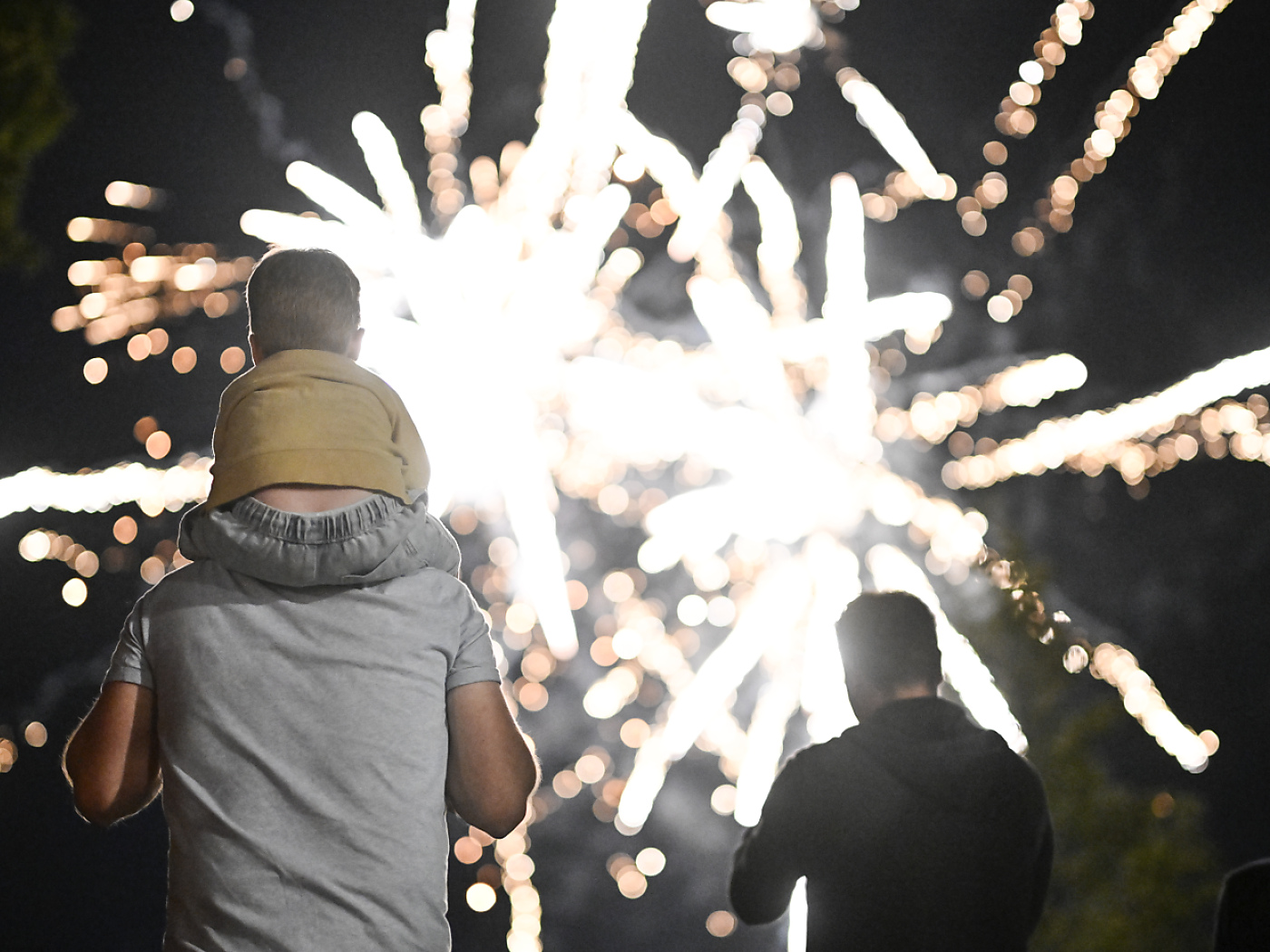 Towards a counter-proposal to the fireworks initiative