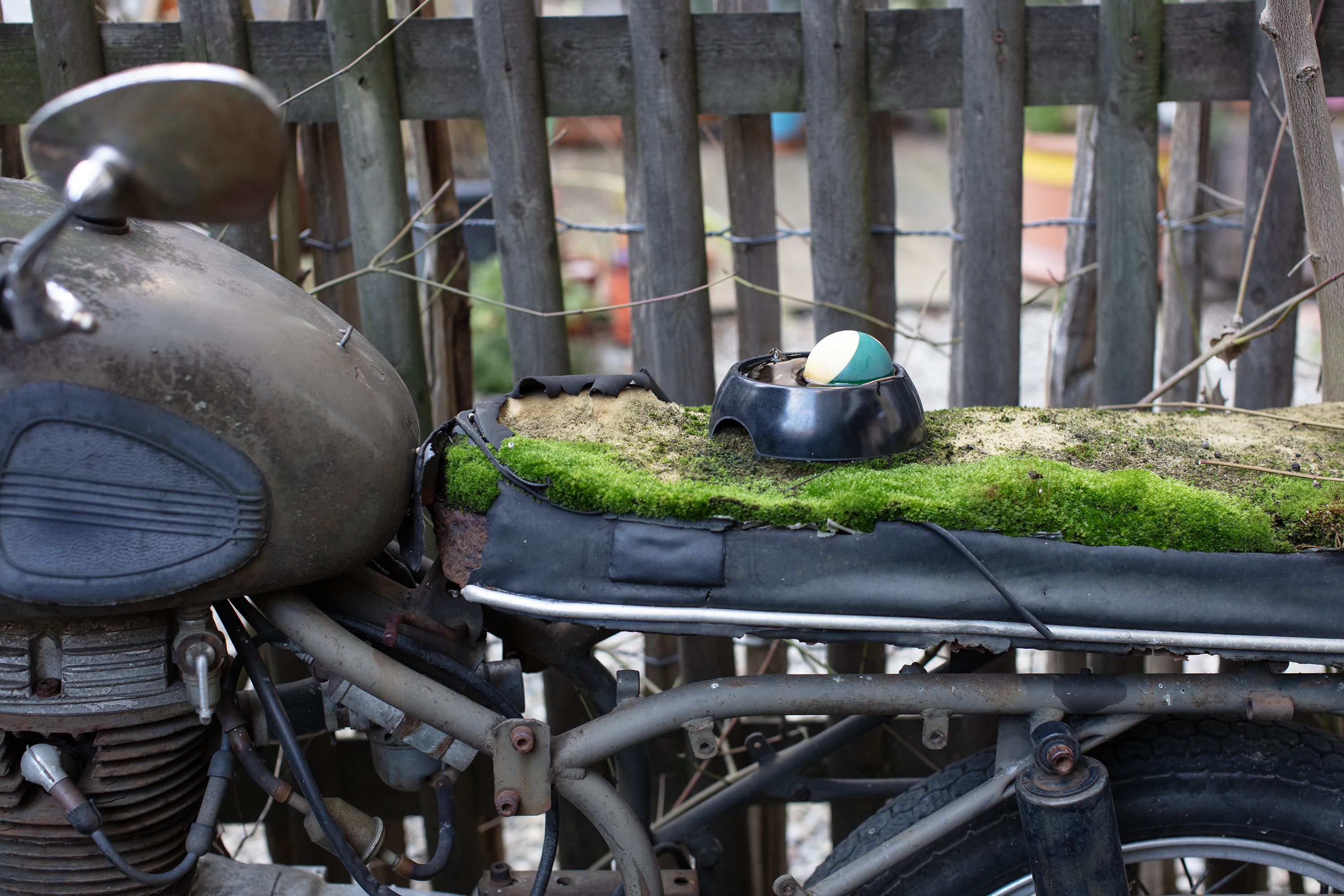 Ein mit Moos bewachsenes Motorrad im Hinterhof