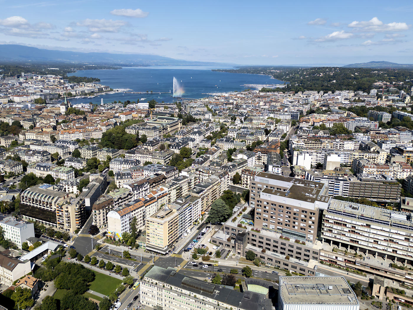 Ownership booms, rentals plateau