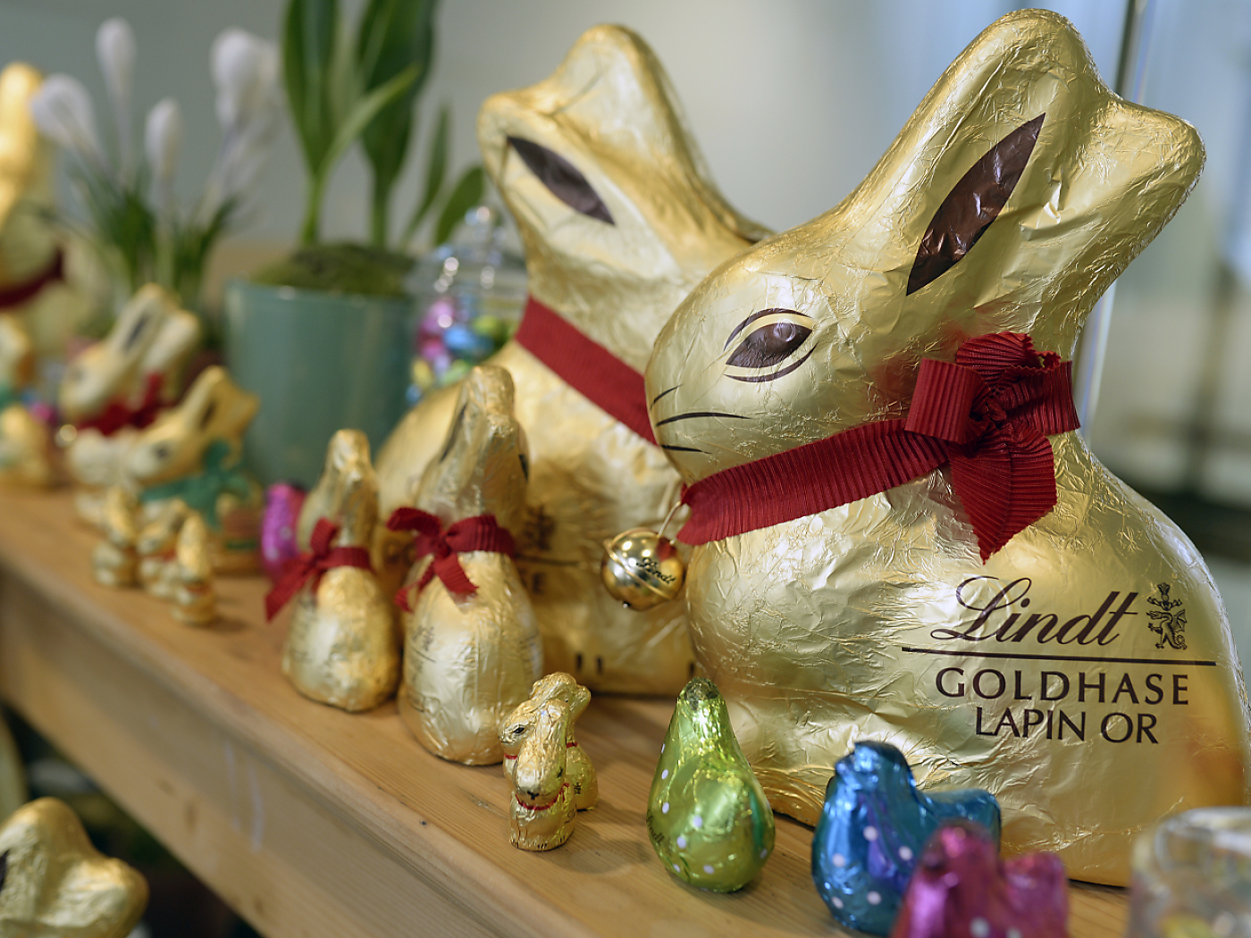 Lindt & Sprüngli with strong growth in 2024