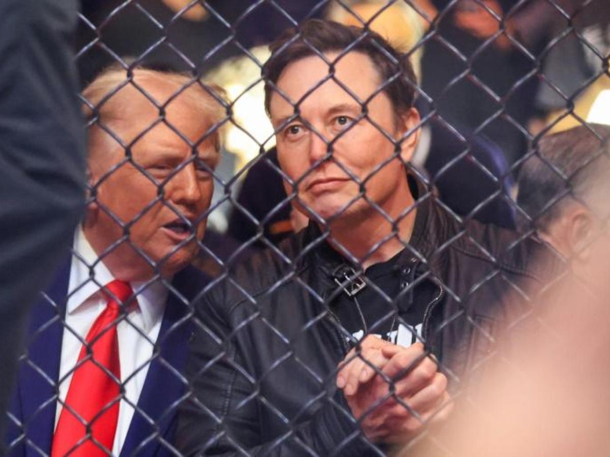 美国政府效率部刚成立川普政府面临诉讼- SWI swissinfo.ch