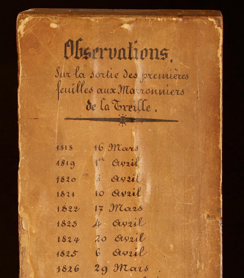 Parchment
