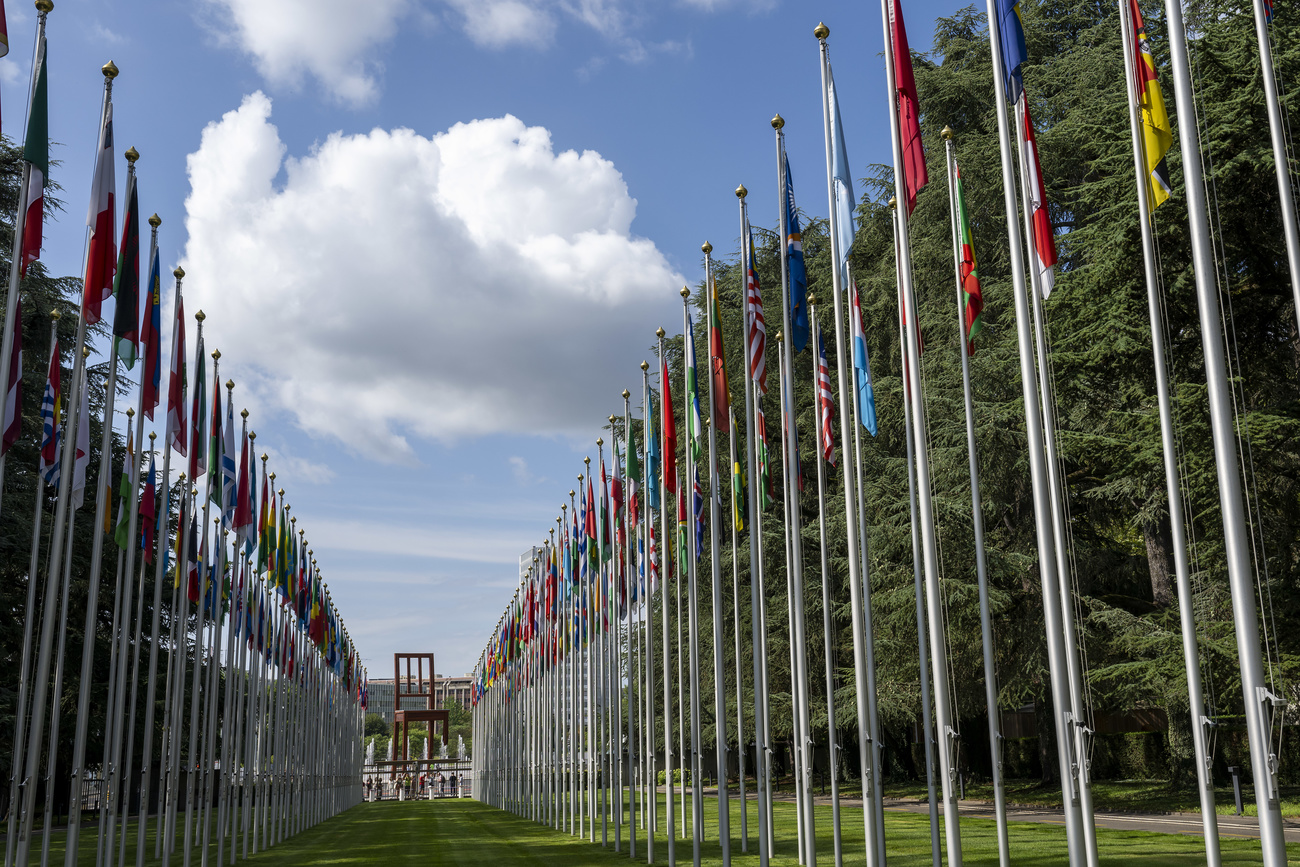 bandiere onu ginevra