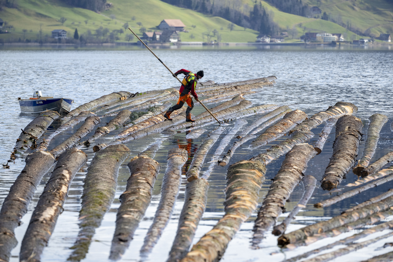 Flösser auf dem Ägerisee