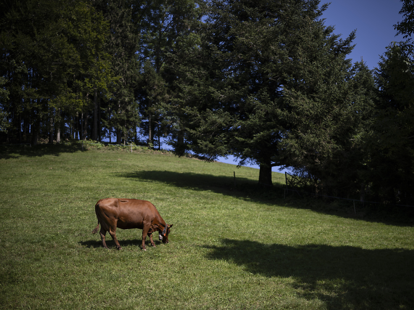 Confederation moves ahead with PFAS management