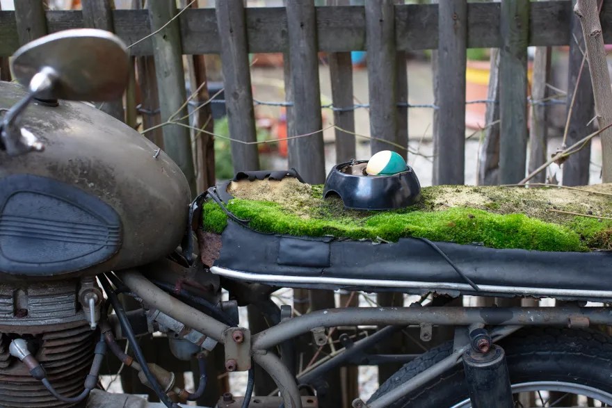 後院的老摩托。