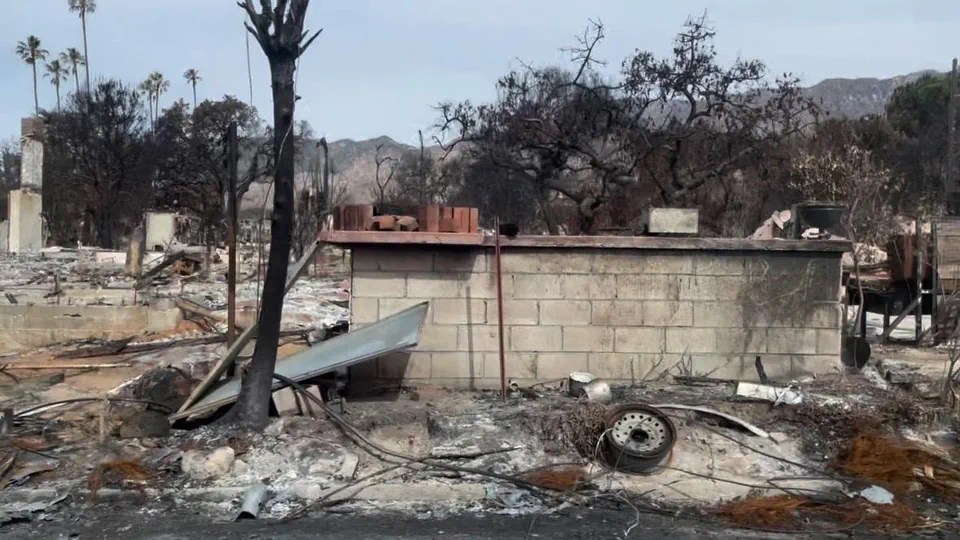 Aufräum- und Entsorgungsarbeiten dauern Monate: Zerstörte Umgebung rund um Korinna Sehringers Wohnhaus in Altadena, Kalifornien.