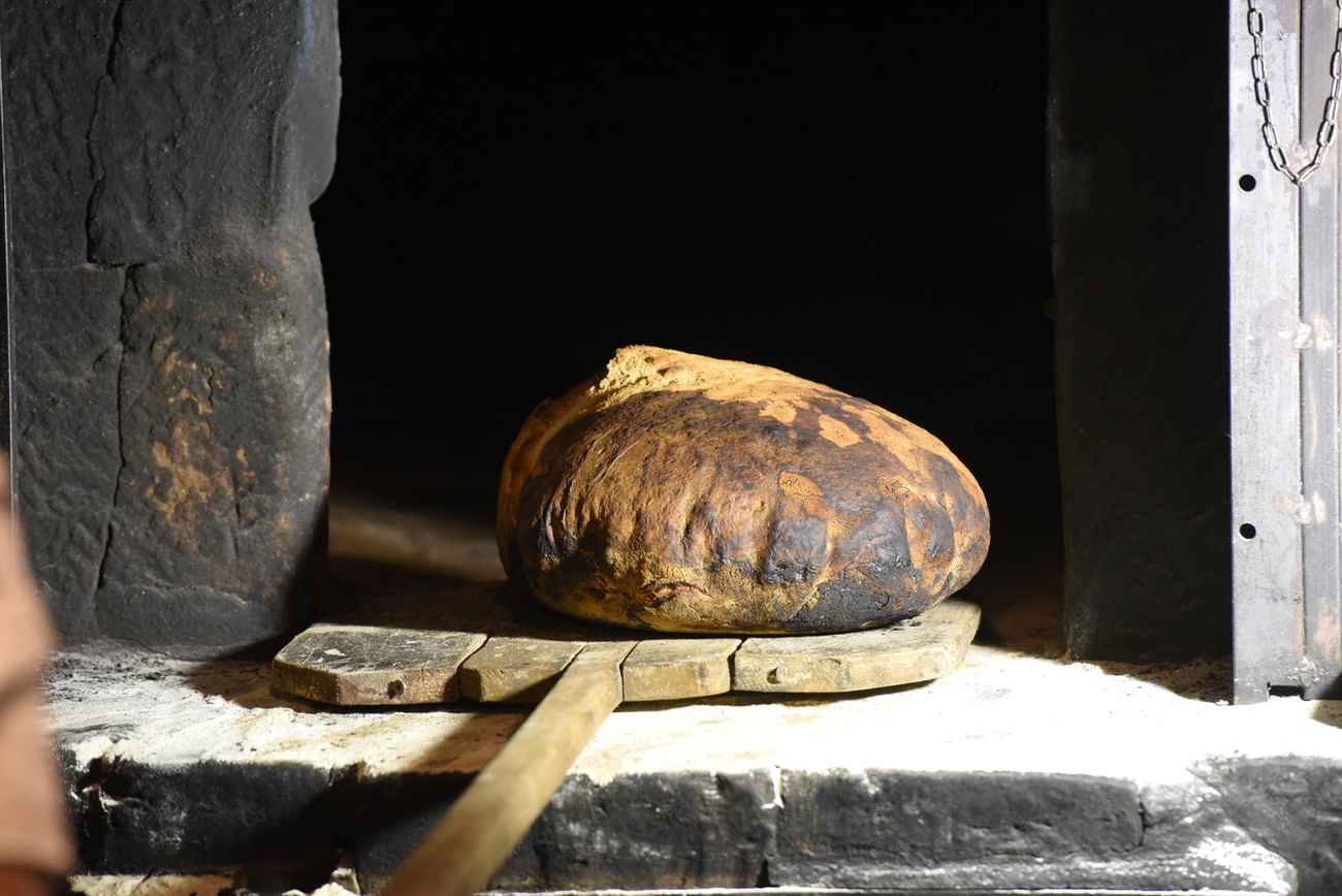 pane nel forno