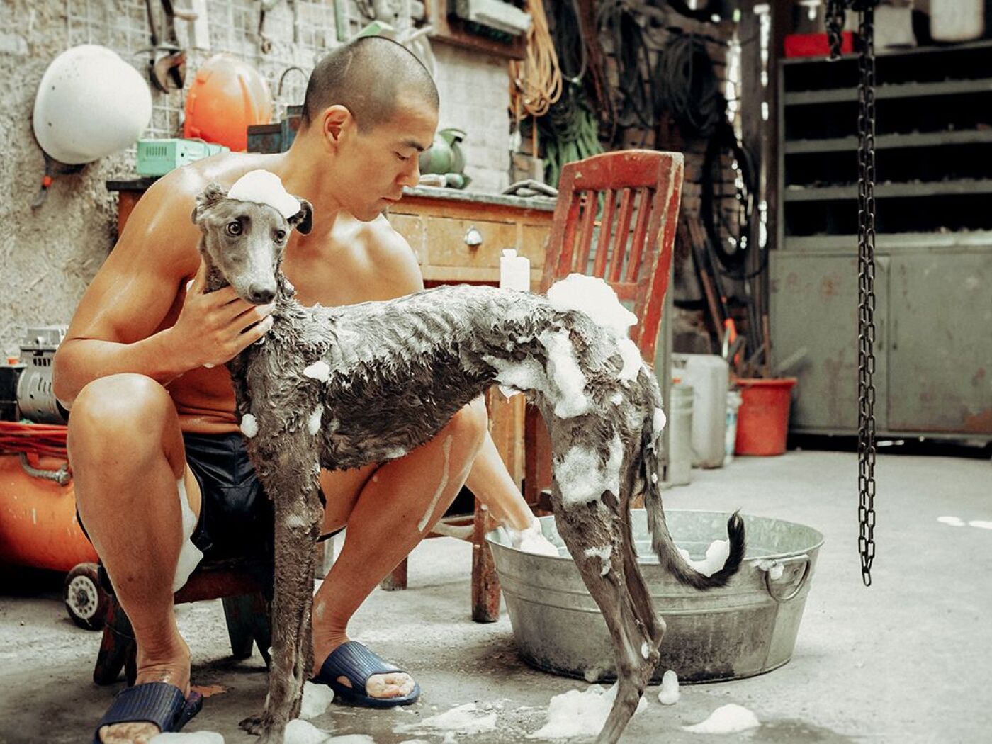 FIFF crowns Chinese film "Black Dog