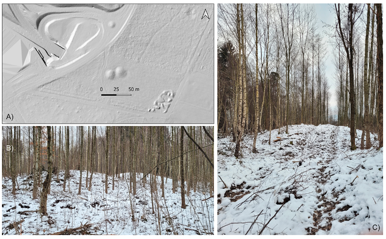 immagine lidar di una zona forestale