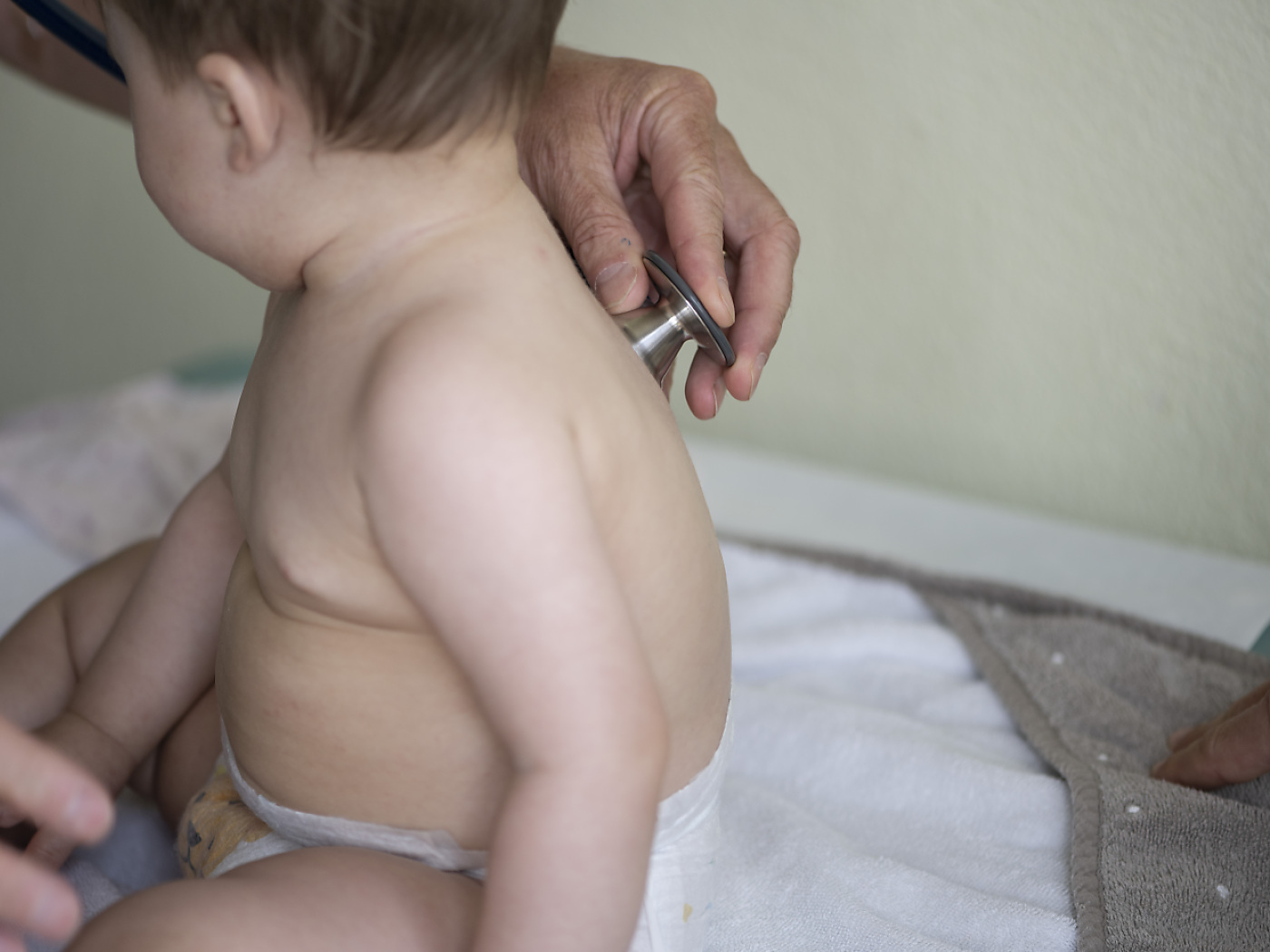 Mycoplasmas have returned with record numbers after corona break