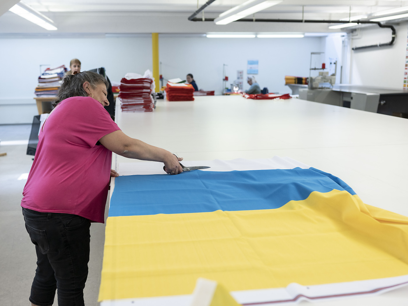 Professional integration of female Ukrainian refugees is progressing slowly