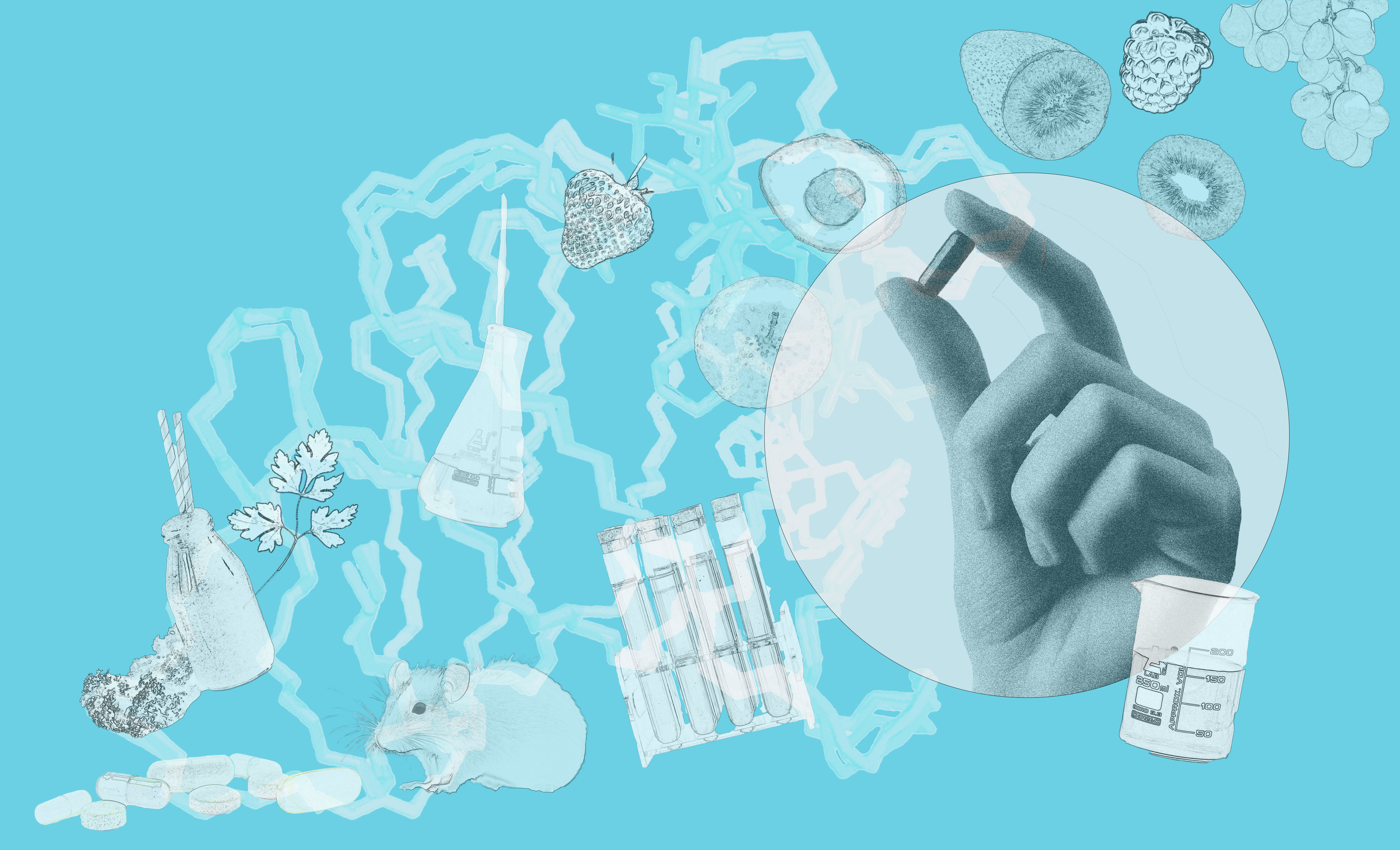 Глобальное сообщество энтузиастов, принимающих рапамицин в надежде замедлить старение, превращается в мировой феномен. Этот препарат подавляет активность белка mTOR, ключевого регулятора клеточного роста и метаболизма.